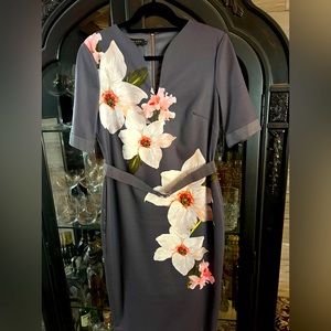 Gorgeous Ted Baker Dress Size Large